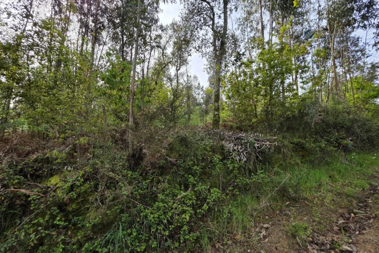 Terreno para Venda em Paço de Sousa Foto 23