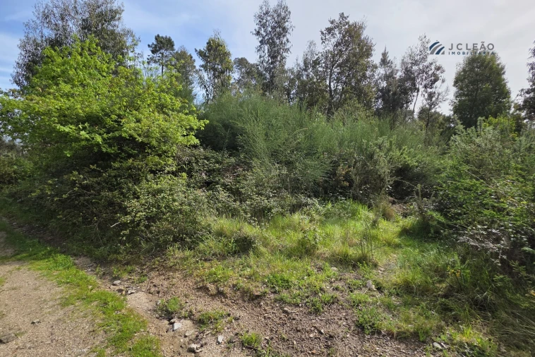 Terreno para Venda em Paço de Sousa Foto 4