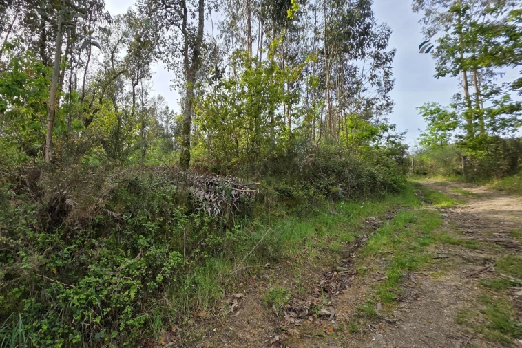 Terreno para Venda em Paço de Sousa Foto 2