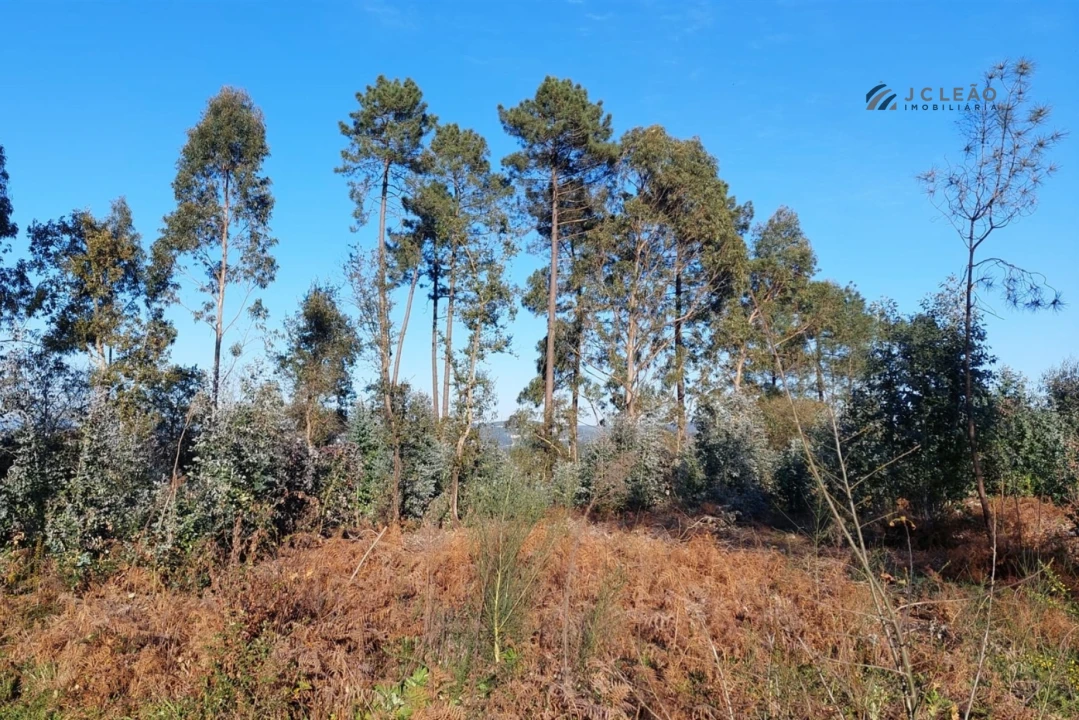 Terreno para Venda em Paço de Sousa Foto 10