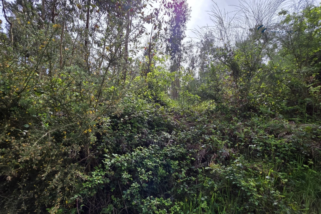 Terreno para Venda em Paço de Sousa Foto 19