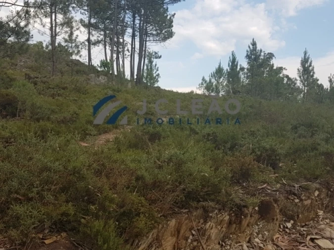 Terreno Agricola ou Rústico para Venda em Sobreira Foto 9