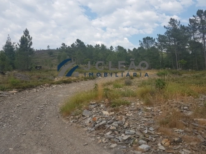 Terreno Agricola ou Rústico para Venda em Sobreira Foto 10