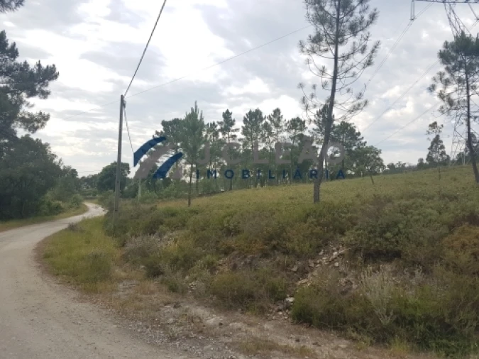 Terreno Agricola ou Rústico para Venda em Sobreira Foto 11