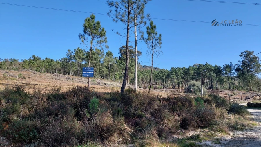 Terreno Agricola ou Rústico para Venda em Sobreira Foto 6