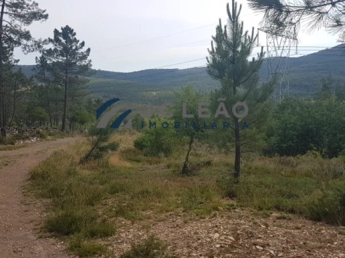Terreno Agricola ou Rústico para Venda em Sobreira Foto 7