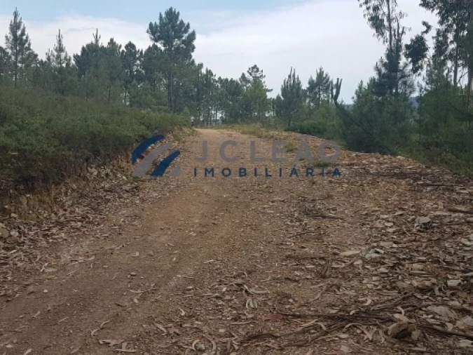 Terreno Agricola ou Rústico para Venda em Sobreira Foto 4