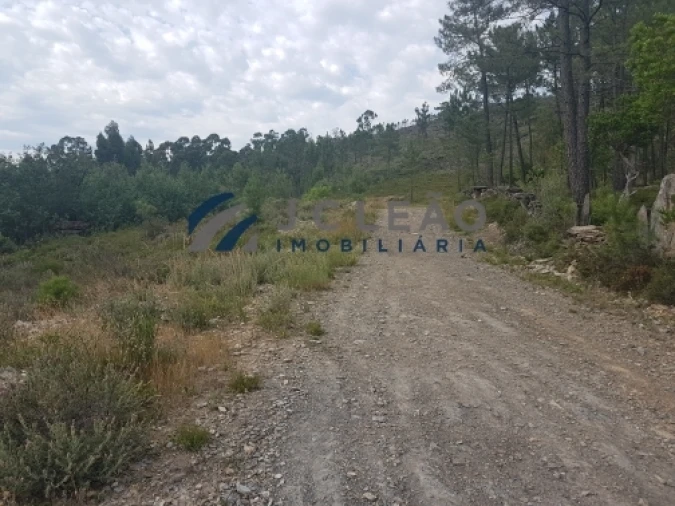 Terreno Agricola ou Rústico para Venda em Sobreira Foto 5