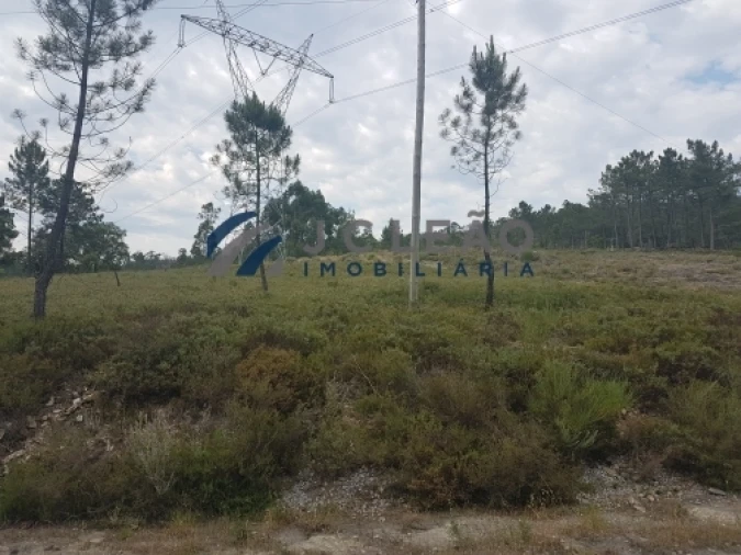 Terreno Agricola ou Rústico para Venda em Sobreira Foto 8