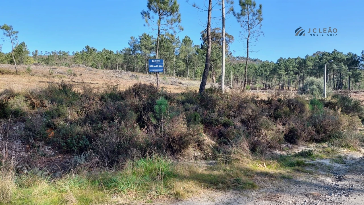 Terreno Agricola ou Rústico para Venda em Sobreira Foto 3