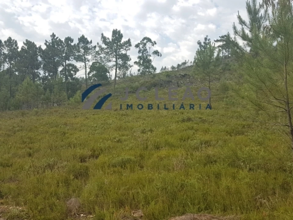 Terreno Agricola ou Rústico para Venda em Sobreira Foto 13
