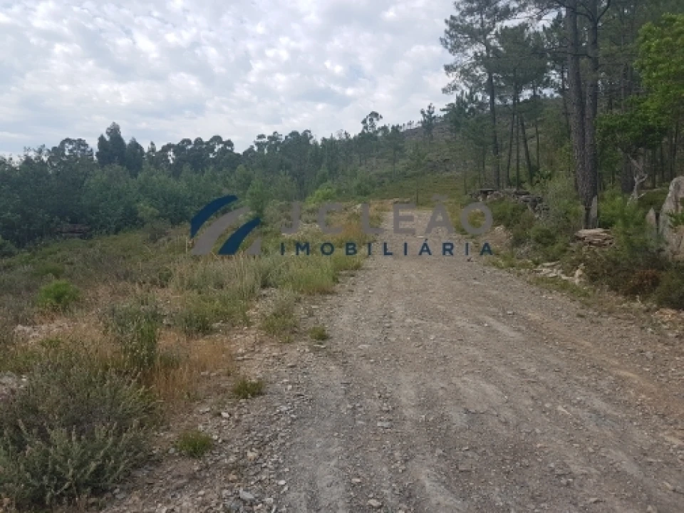 Terreno Agricola ou Rústico para Venda em Sobreira Foto 5