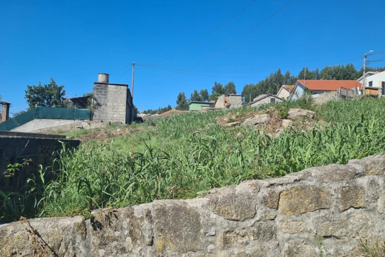 Terreno para Venda em Rio de Moinhos Foto 10