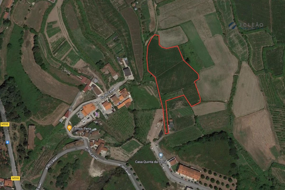 Terreno Agricola ou Rústico para Venda em Paredes Foto 1