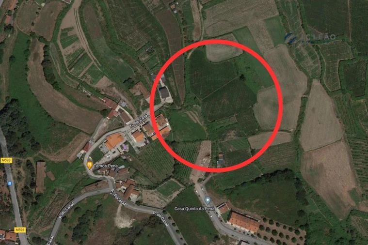 Terreno Agricola ou Rústico para Venda em Paredes Foto 2