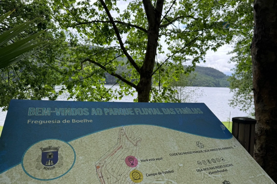 Quinta T3 para Venda em Boelhe Foto 33