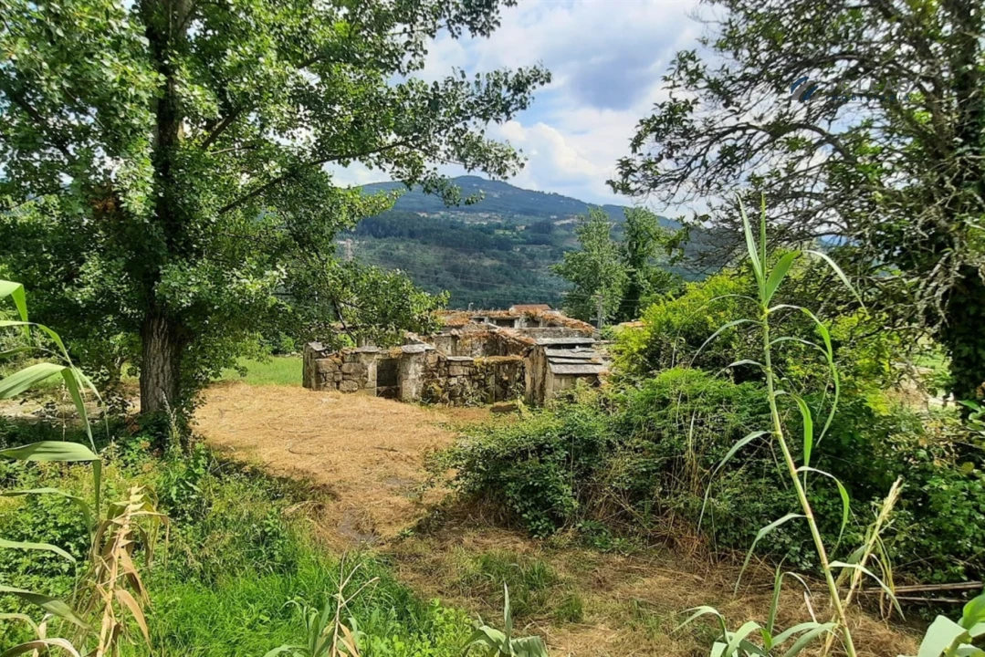 Quinta T3 para Venda em Boelhe Foto 28