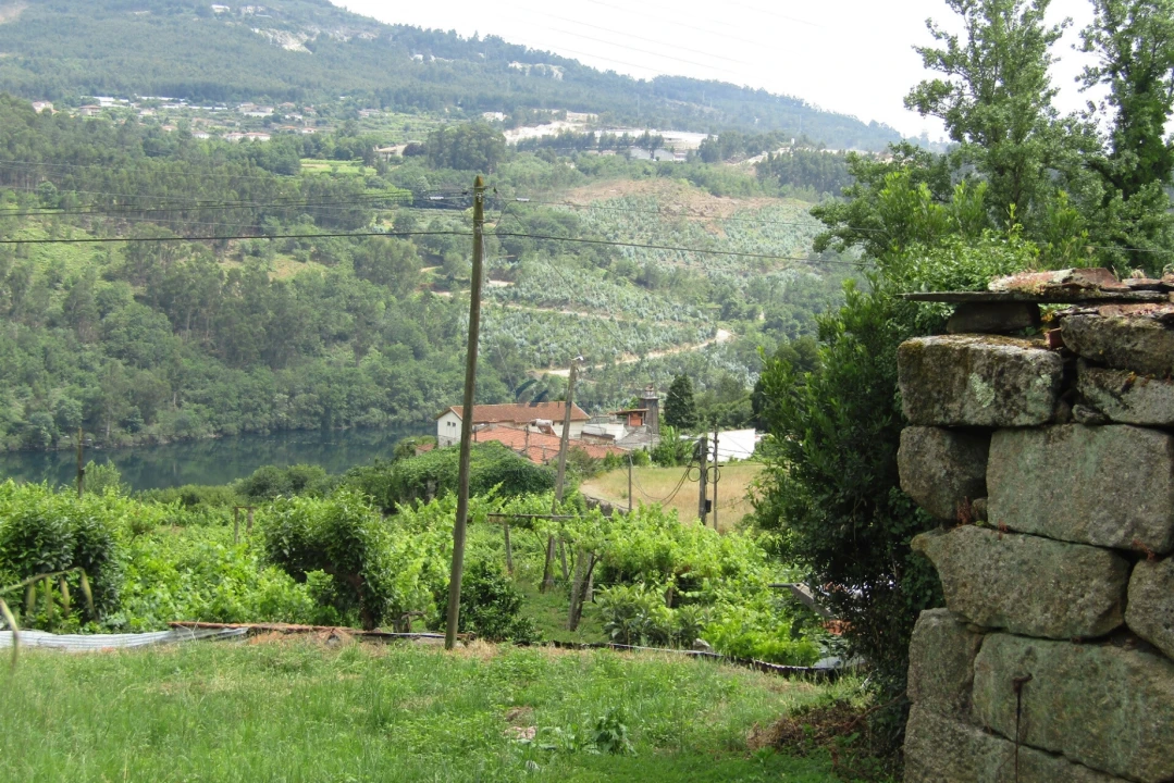 Quinta T3 para Venda em Boelhe Foto 3