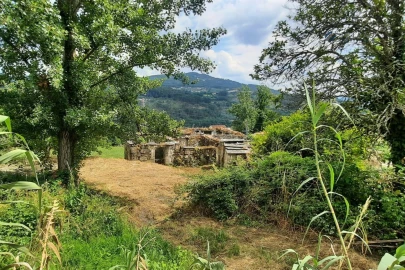 Quinta T3 para Venda em Boelhe