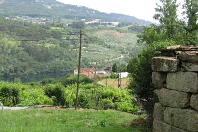 Quinta T3 para Venda em Boelhe