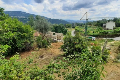 Quinta T3 para Venda em Boelhe