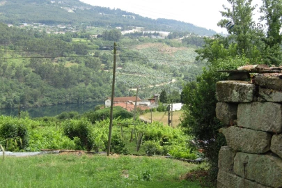 Quinta T3 para Venda em Boelhe