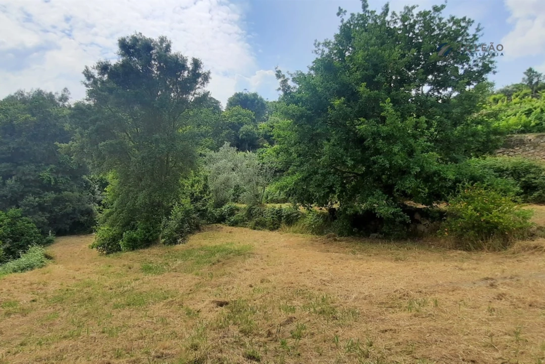 Quinta T3 para Venda em Boelhe Foto 22