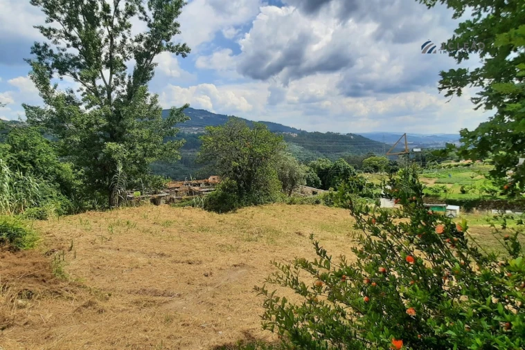 Quinta T3 para Venda em Boelhe Foto 24