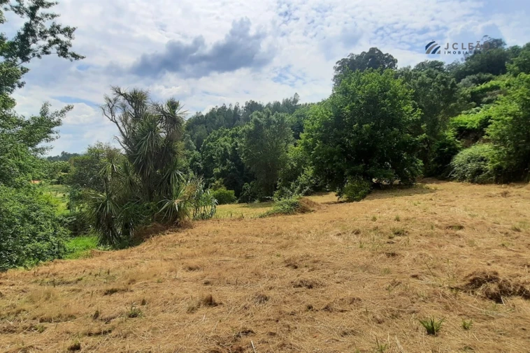 Quinta T3 para Venda em Boelhe Foto 26