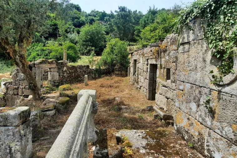 Quinta T3 para Venda em Boelhe Foto 14