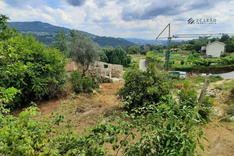 Quinta T3 para Venda em Boelhe Foto 23