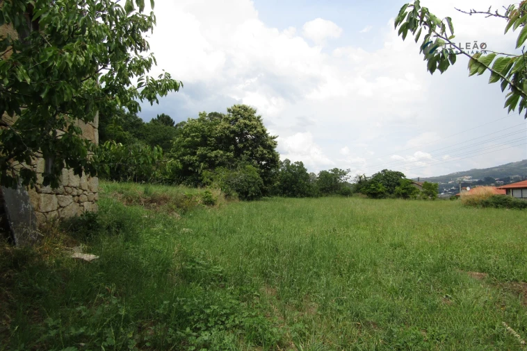 Quinta T3 para Venda em Boelhe Foto 21