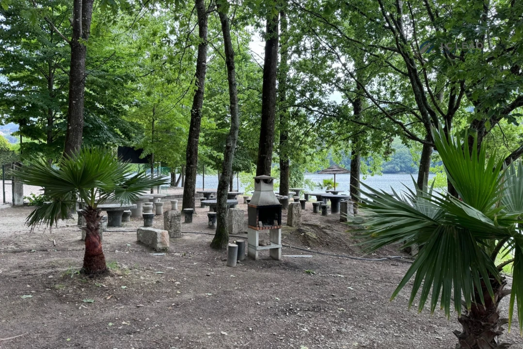 Quinta T3 para Venda em Boelhe Foto 35