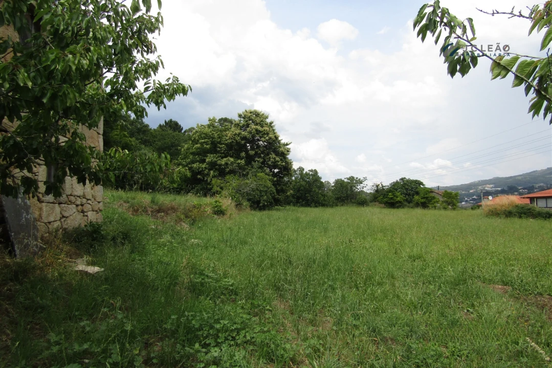 Quinta T3 para Venda em Boelhe Foto 21