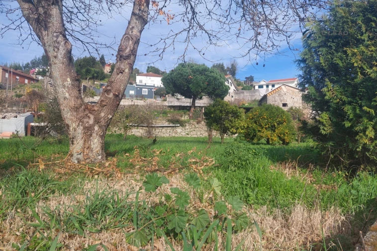 Terreno para Venda em Louredo Foto 7