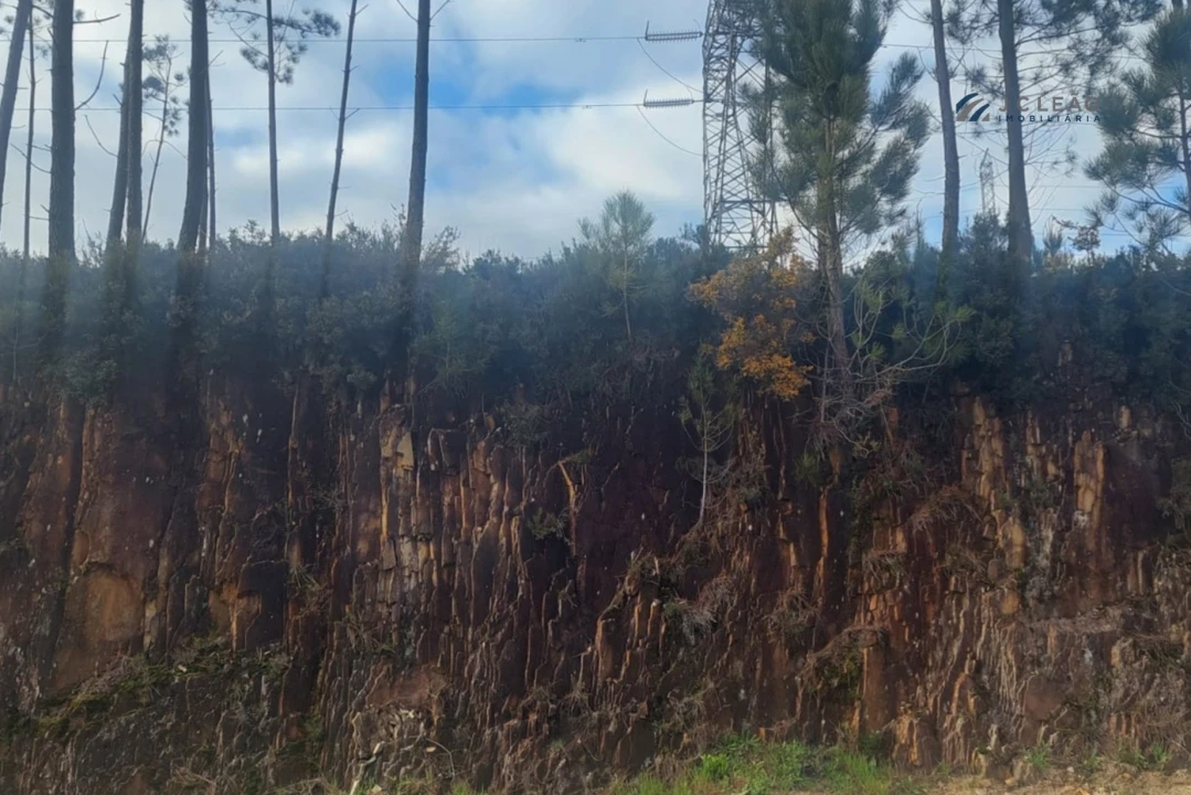 Terreno Agricola ou Rústico para Venda em Recarei Foto 8