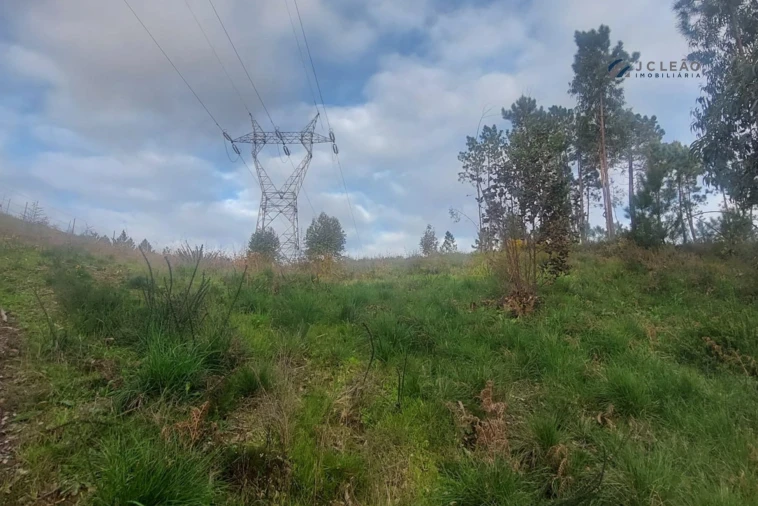 Terreno Agricola ou Rústico para Venda em Recarei Foto 7