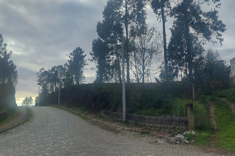 Terreno Agricola ou Rústico para Venda em Recarei Foto 9