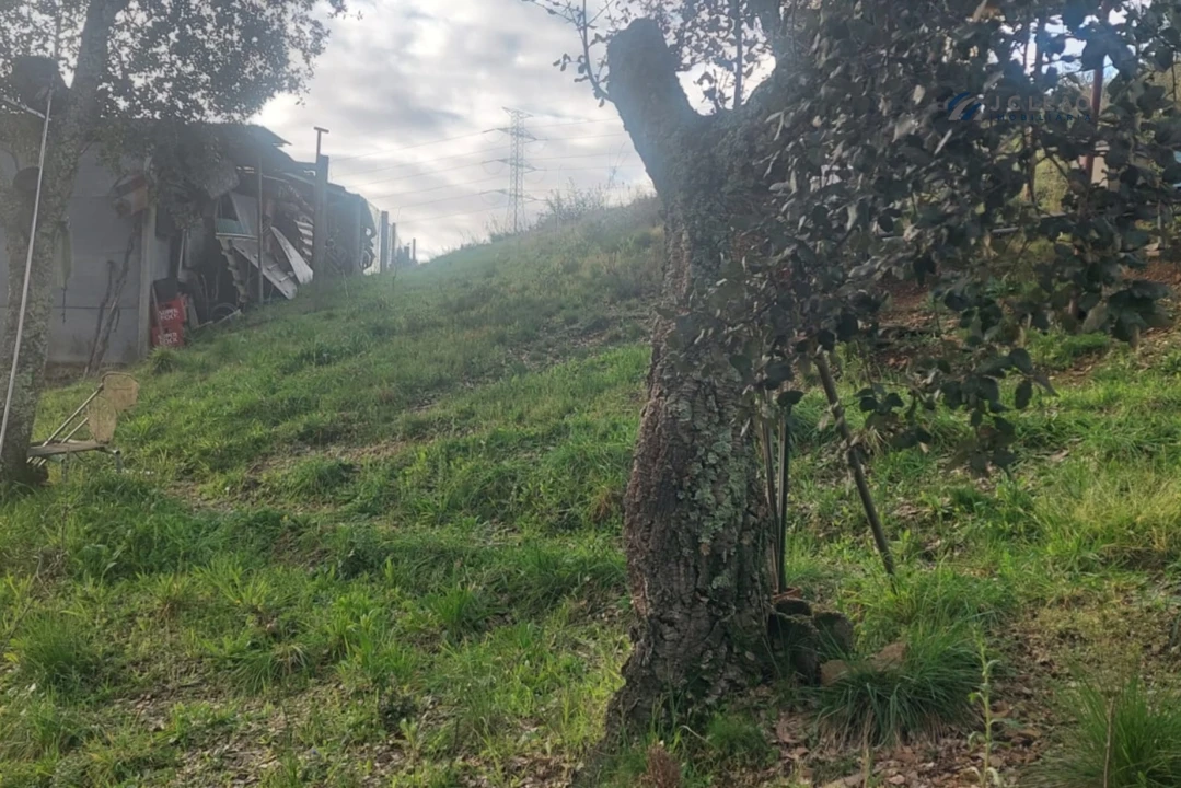 Terreno Agricola ou Rústico para Venda em Recarei Foto 6