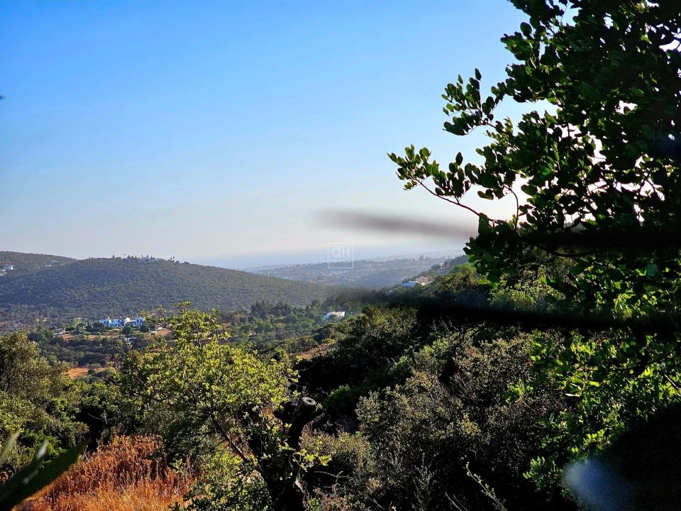 Terreno para Venda em Loule (São Clemente) Foto 14