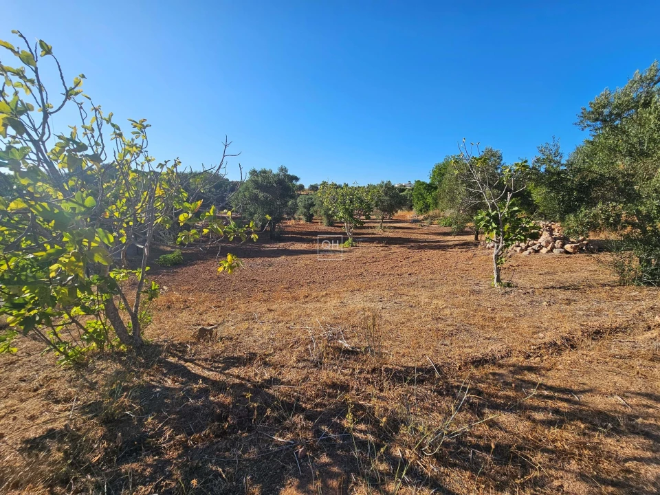 Terreno para Venda em Loule (São Clemente) Foto 10