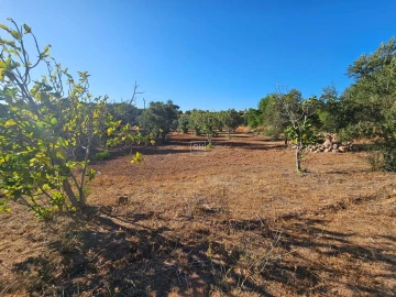 Terreno para Venda em Loule (São Clemente)