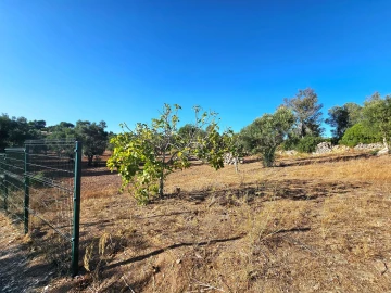 Terreno para Venda em Loule (São Clemente)