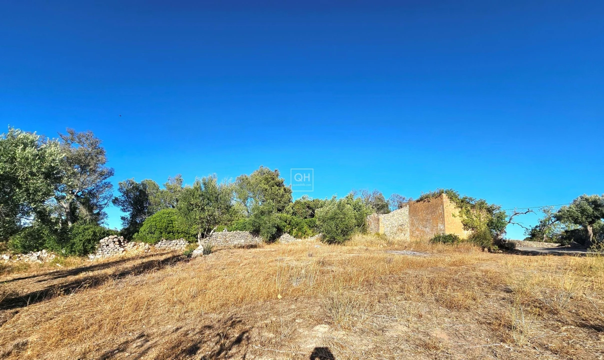 Terreno para Venda em Loule (São Clemente) Foto 12