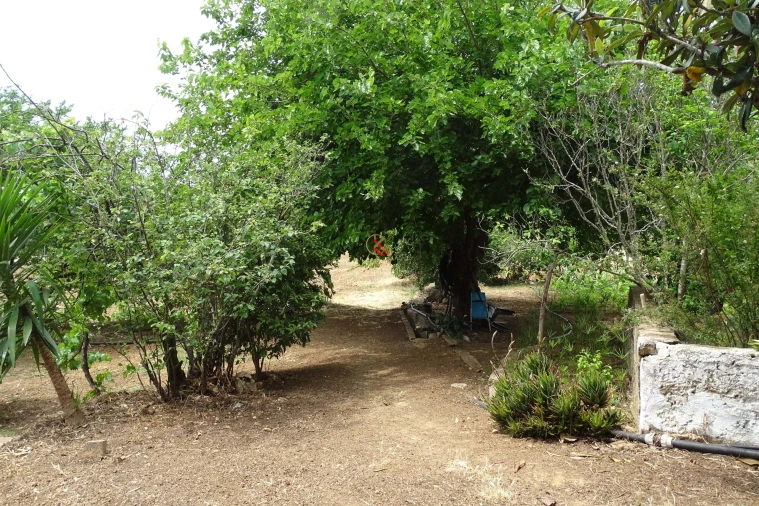 Quinta T5 para Venda em Mexilhoeira Grande Foto 27