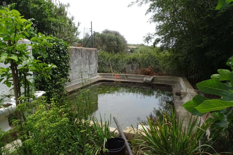 Quinta T5 para Venda em Mexilhoeira Grande Foto 26