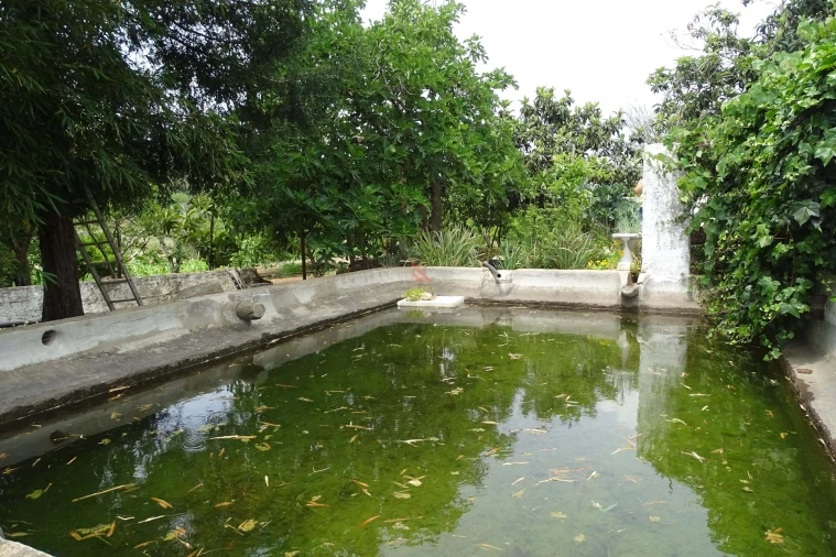 Quinta T5 para Venda em Mexilhoeira Grande Foto 25