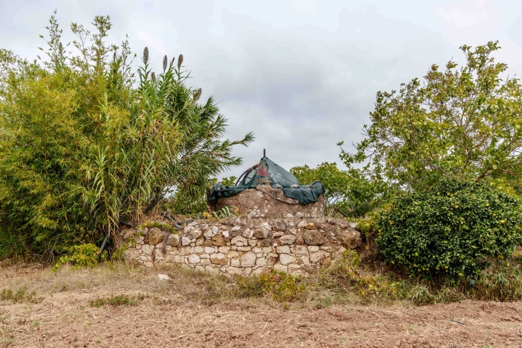 Quinta T5 para Venda em Mexilhoeira Grande Foto 28