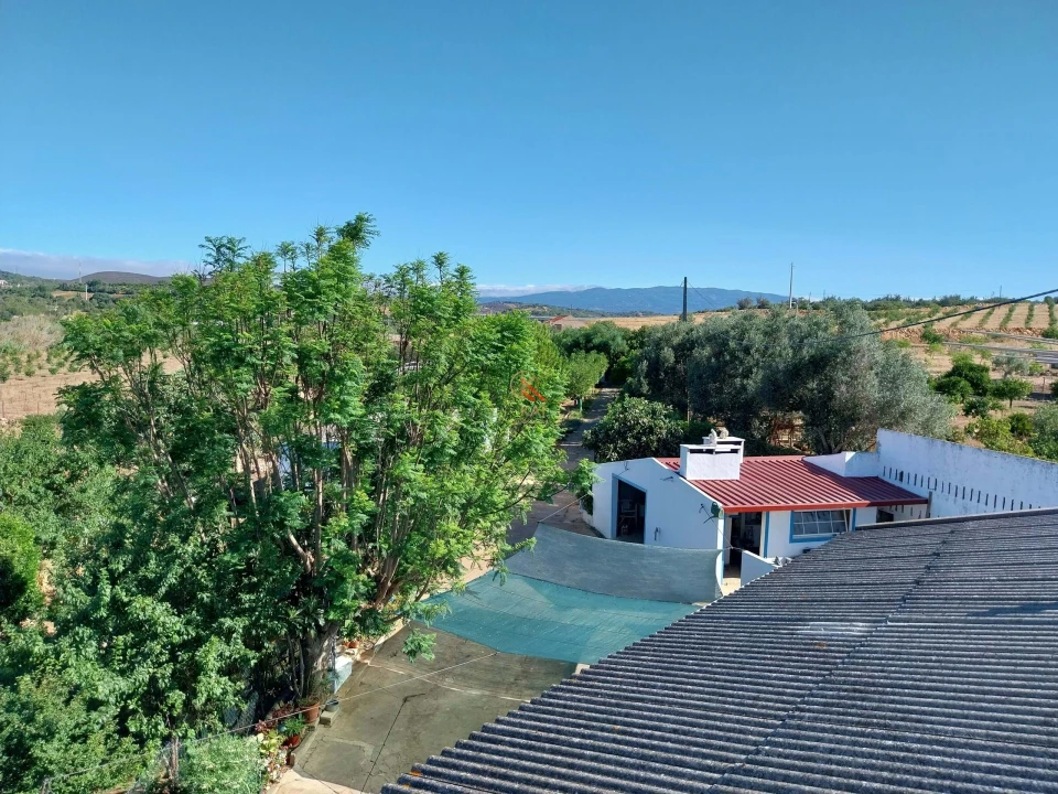 Quinta T5 para Venda em Mexilhoeira Grande Foto 7