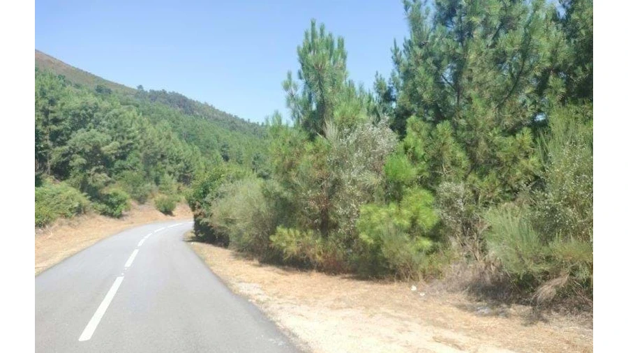 Terreno para Venda em Nossa Senhora da Conceição, São Pedro e São Dinis